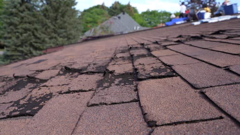 Best Asphalt Shingles Roofing  in Mount Carmel, PA
